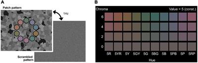 Suppression of Luminance Contrast Sensitivity by Weak Color Presentation